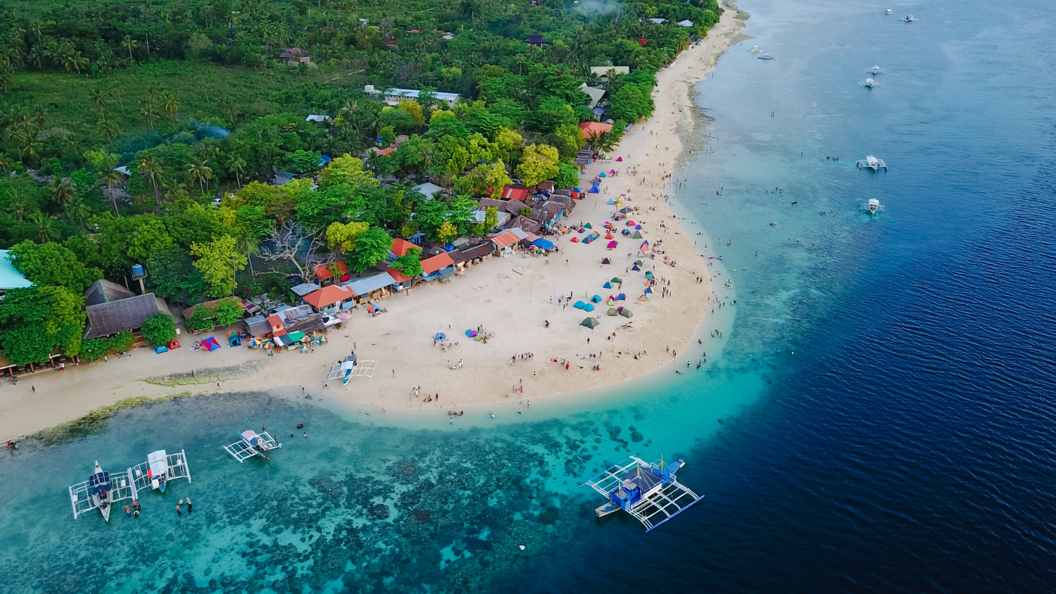 Ancient trees lining a quiet coastal street adding to the best things to do in Sanur Bali.