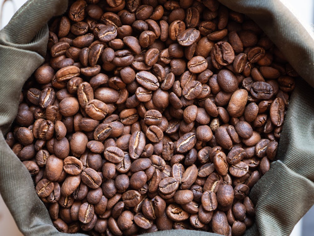 10 Best Cafes in Sanur Bali for Coffee & Nomads (2026) 6