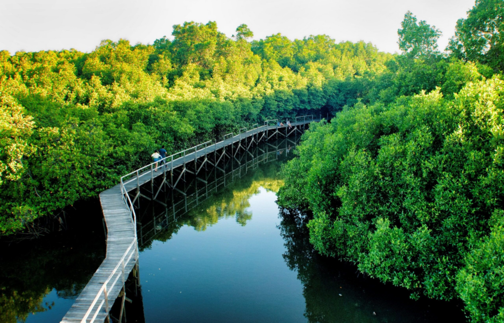Cultural attractions and things to do in Denpasar during a Bali city tour