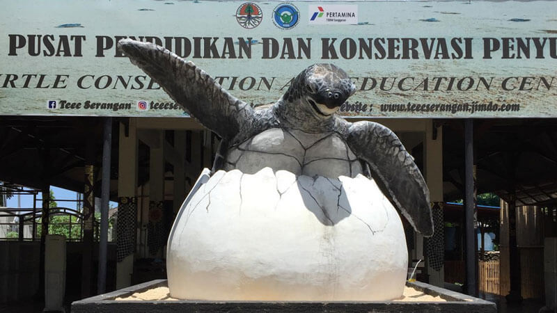 What to Do in Sanur Bali With Kids: 2026 Family Guide 3