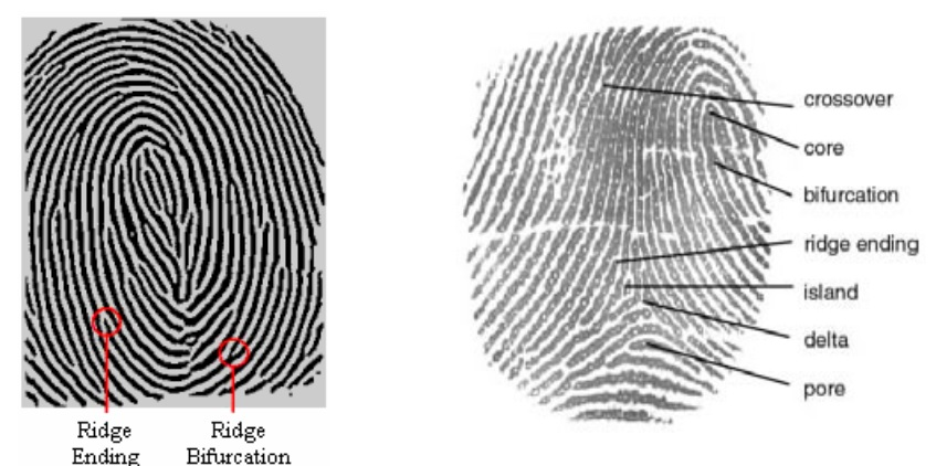 Inside Bali's Fingerprint Painting Museum (2026 Review) 6 Inside Bali's Fingerprint Painting Museum (2026 Review) 5