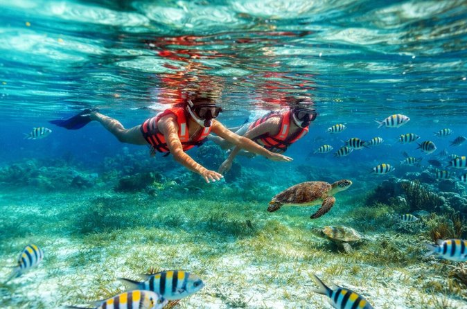sanur in september – Snorkeling and Diving